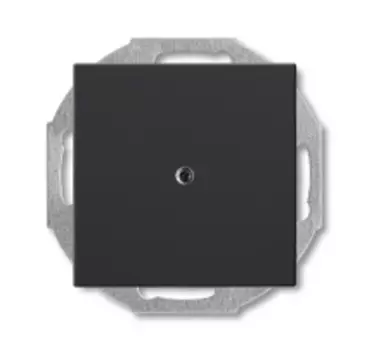 1715-0-0315 (2538-95-507), Заглушка с суппортом, серия Basic 55, цвет chateau-black, ABB