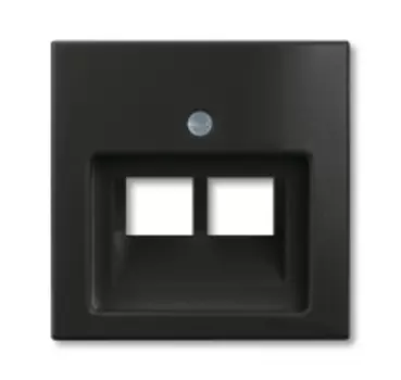 1753-0-0206 (1803-02-95-507), Плата центральная (накладка) для 2-постовой телекоммуникационной розетки 0214, 0215, 0217, 0218, с полем для надписи, серия Basic 55 цвет chateau-black, ABB
