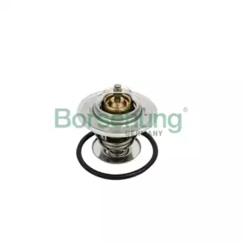 Термостат системы охлаждения BORSEHUNG B18259