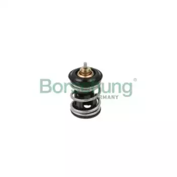 Термостат системы охлаждения BORSEHUNG B18261