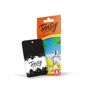 Ароматизатор автомобильный парфюм TENSY TA-06 картонный