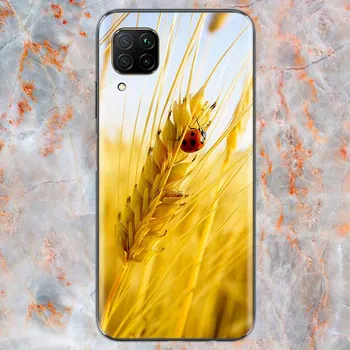 Чехол для телефона из спелой пшеницы для Huawei Mate 40 30 20 20X 10 RS P Smart 2021 2020 ZS Pro Plus Lite 2019 P Smart 2018