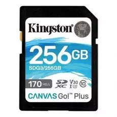 Карта памяти 256GB Kingston SDG3/256GB SDXC, UHS-I Class U3 V30, чтение: 170Мб/с, запись: 90Мб/с