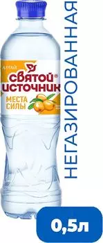 Вода Святой Источник Места силы Алтай со вкусом облепихи жимолости и экстрактом можжевельника негазированная 500мл