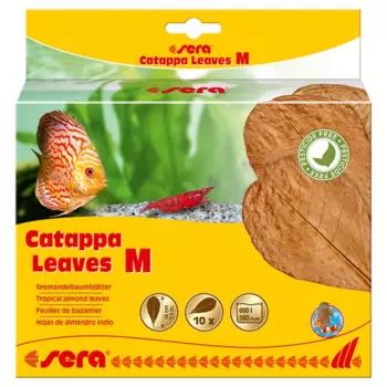 Sera Листья инд.миндаля Catappa Leaves M