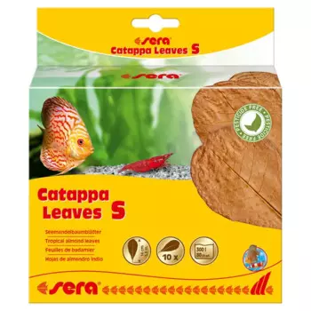 Sera Листья инд.миндаля Catappa Leaves S