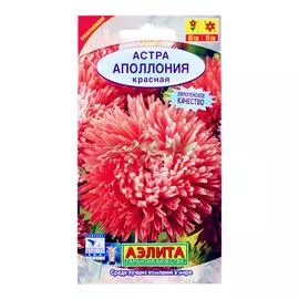 Аэлита Астра Аполлония Red