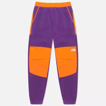 Мужские брюки The North Face