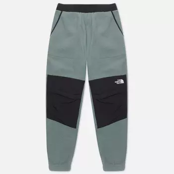 Мужские брюки The North Face