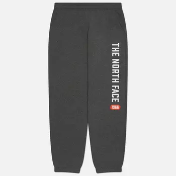 Мужские брюки The North Face Varsity Graphic, цвет серый, размер M