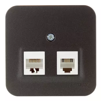 Розетка компьютерная/ телефонная Systeme Electric Blanca накладная антрацит RJ11/ RJ45 (BLNIA045116)