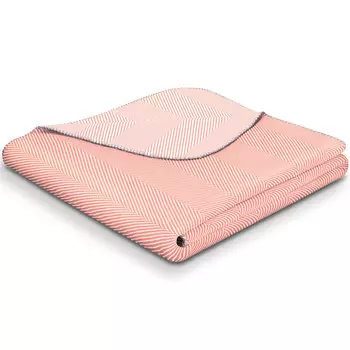 Плед 1,5-спальный Biederlackborbo Overview Pastel Gradient Herringbon