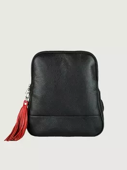 Рюкзак FABULA S.141/1.BK-BL/RD