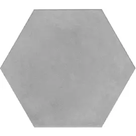 Пуату серый SG23030N 20х23,1