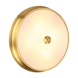 Настенно-потолочный светильник Marsei 4824/4C Odeon Light