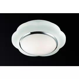 Настенно-потолочный светильник Odeon Light Baha 2403/1C