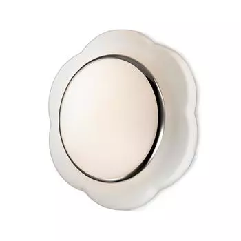 Настенно-потолочный светильник Odeon Light Baha 2403/2C