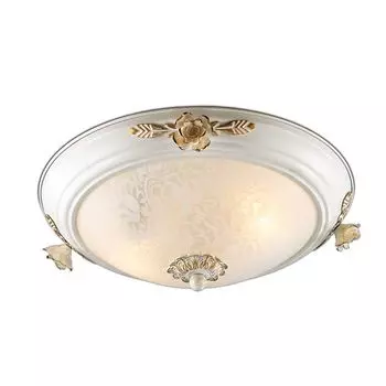 Настенно-потолочный светильник Odeon Light Bone 2692/2C