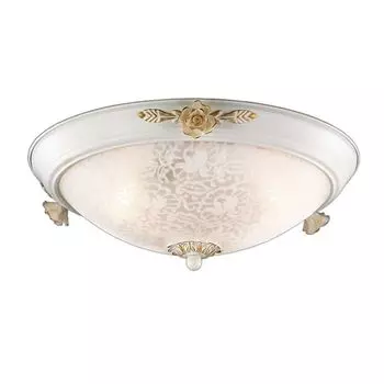 Настенно-потолочный светильник Odeon Light Bone 2692/3C
