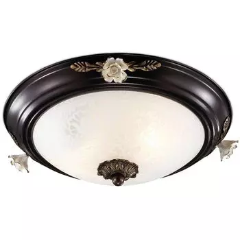 Настенно-потолочный светильник Odeon Light Bone 2693/2C