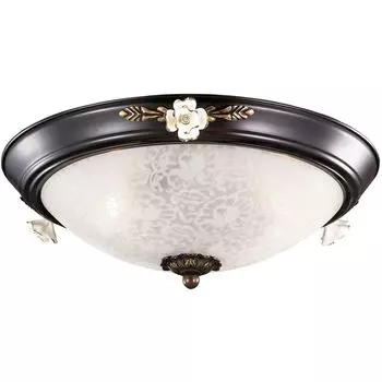 Настенно-потолочный светильник Odeon Light Bone 2693/3C