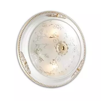 Настенно-потолочный светильник Odeon Light Corbea 2670/2C