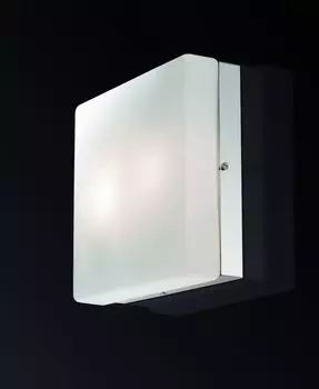 Настенно-потолочный светильник Odeon Light Hill 2406/2A
