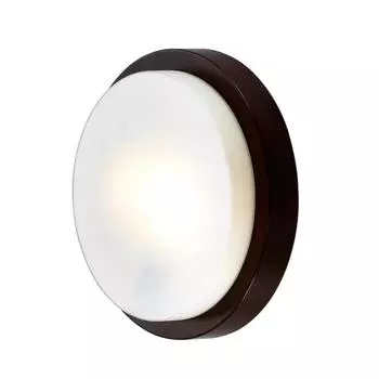 Настенно-потолочный светильник Odeon Light Holger 2744/2C