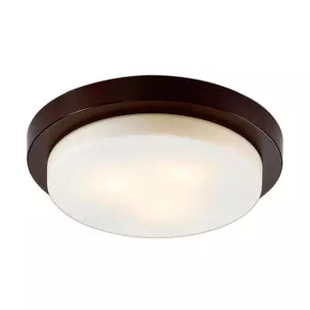 Настенно-потолочный светильник Odeon Light Holger 2744/3C