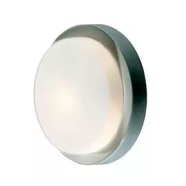 Настенно-потолочный светильник Odeon Light Holger 2745/1C