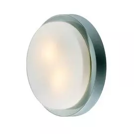 Настенно-потолочный светильник Odeon Light Holger 2745/2C