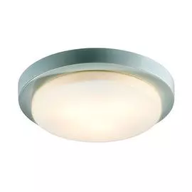 Настенно-потолочный светильник Odeon Light Holger 2745/3C