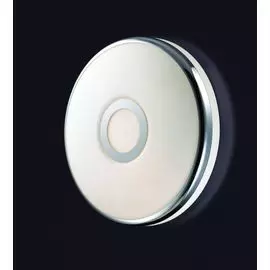 Настенно-потолочный светильник Odeon Light Ibra 2401/2C
