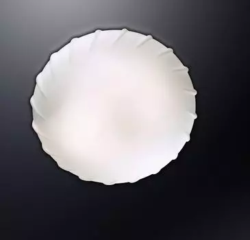 Настенно-потолочный светильник Odeon Light Opal 2247/2A
