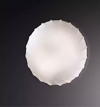 Настенно-потолочный светильник Odeon Light Opal 2247/2C