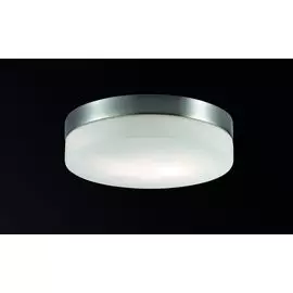 Настенно-потолочный светильник Odeon Light Presto 2405/2A