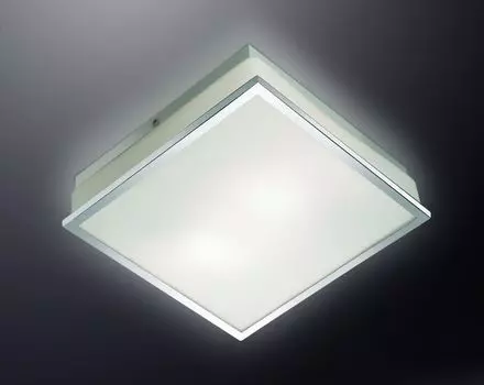 Настенно-потолочный светильник Odeon Light Tela 2537/2C