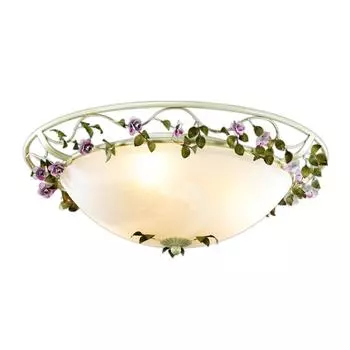 Настенно-потолочный светильник Odeon Light Tender 2796/3C