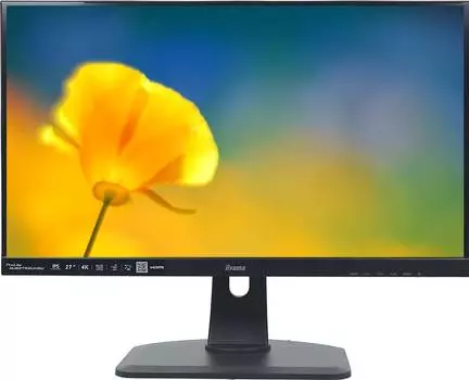 Монитор 27" Iiyama XUB2792UHSU-B1, 3840х2160, 60 Гц, IPS, черный