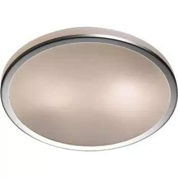 Потолочный светильник Odeon Light 2177/2C