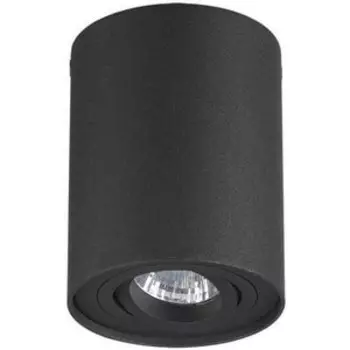 Потолочный светильник Odeon Light 3565/1C