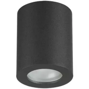 Потолочный светильник Odeon Light 3572/1C