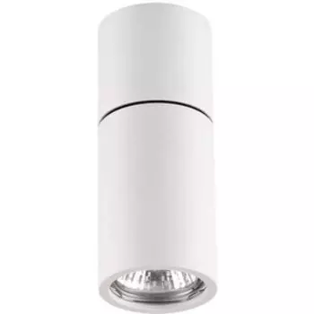Потолочный светильник Odeon Light 3582/1C