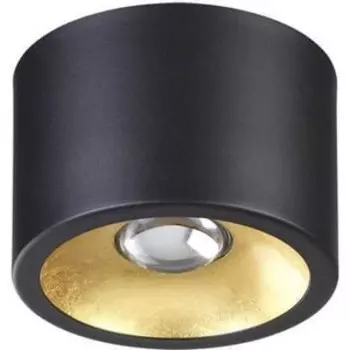 Потолочный светильник Odeon Light 3878/1CL