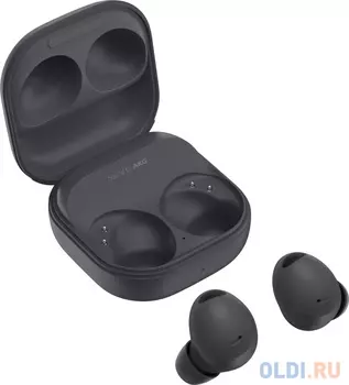 Беспроводные наушники SAMSUNG Galaxy Buds 2 Pro Graphite (R510)