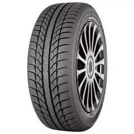 Шина зимняя GT Radial Champiro WinterPRO HP 205/50 R17 93V