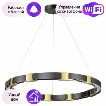 Подвесная люстра Odeon Fierro с поддержкой Алиса 4991/80L-A