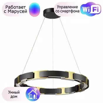 Подвесная люстра Odeon Fierro с поддержкой Маруся 4991/55L-М