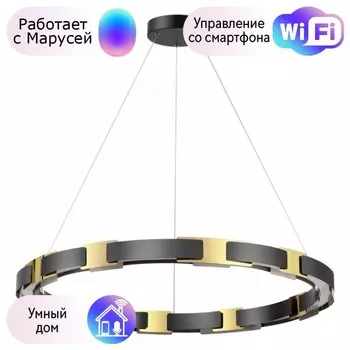 Подвесная люстра Odeon Fierro с поддержкой Маруся 4991/80L-М