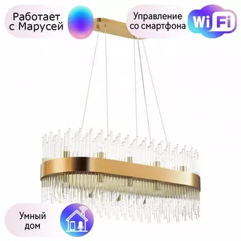 Подвесная люстра Odeon Light Focco с поддержкой Маруся 4722/24-М